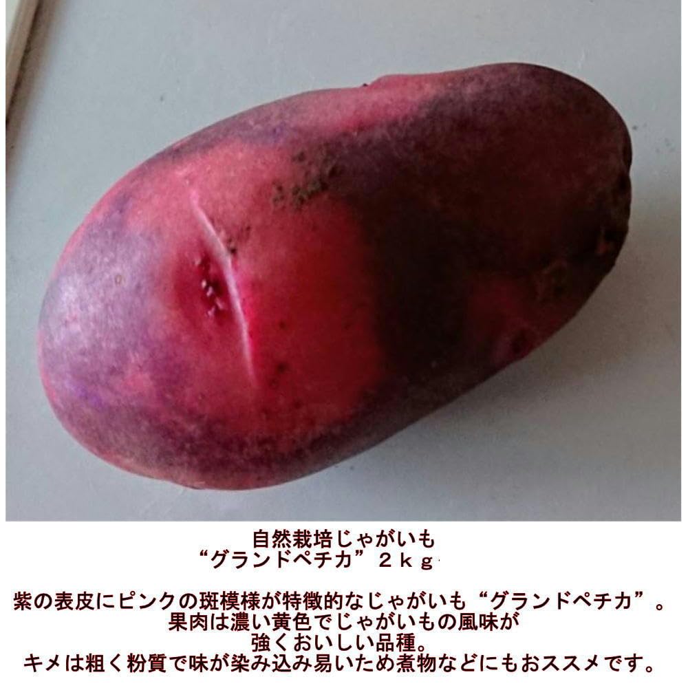 ちかっぺ グラウンドペチカ 20キロ 楽天市場】今期入荷なし じゃがいも種芋 グランドペチカ