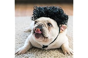 Black Dog Afro Wig: The Furriest Fashion Statement