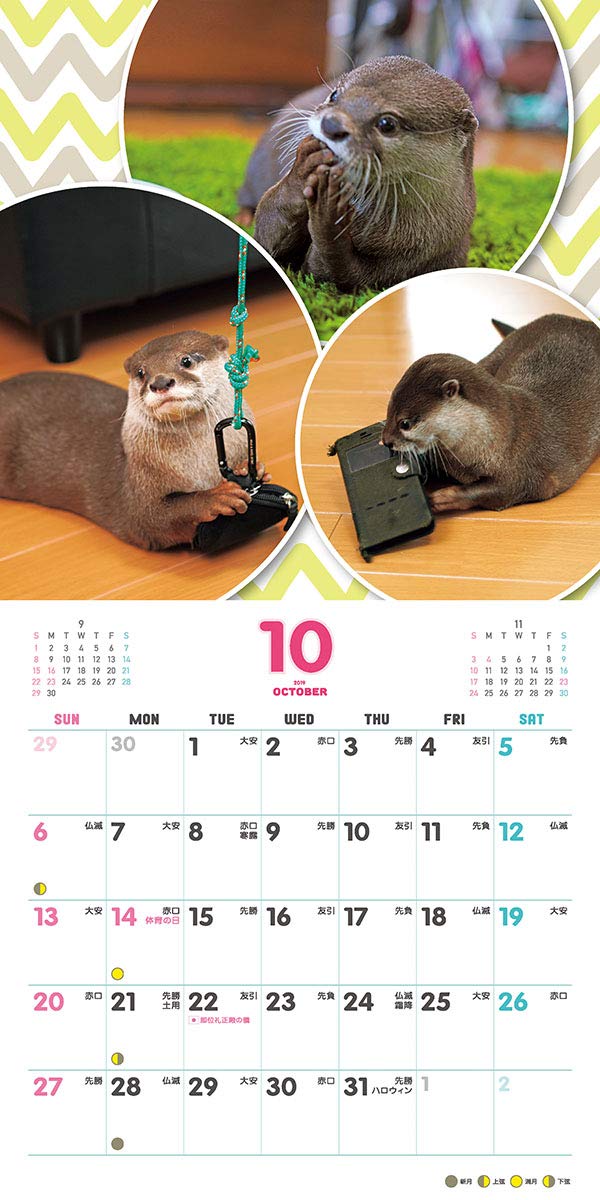 Amazon | トライエックス カワウソちぃたん☆ 2019年 祝日訂正シール