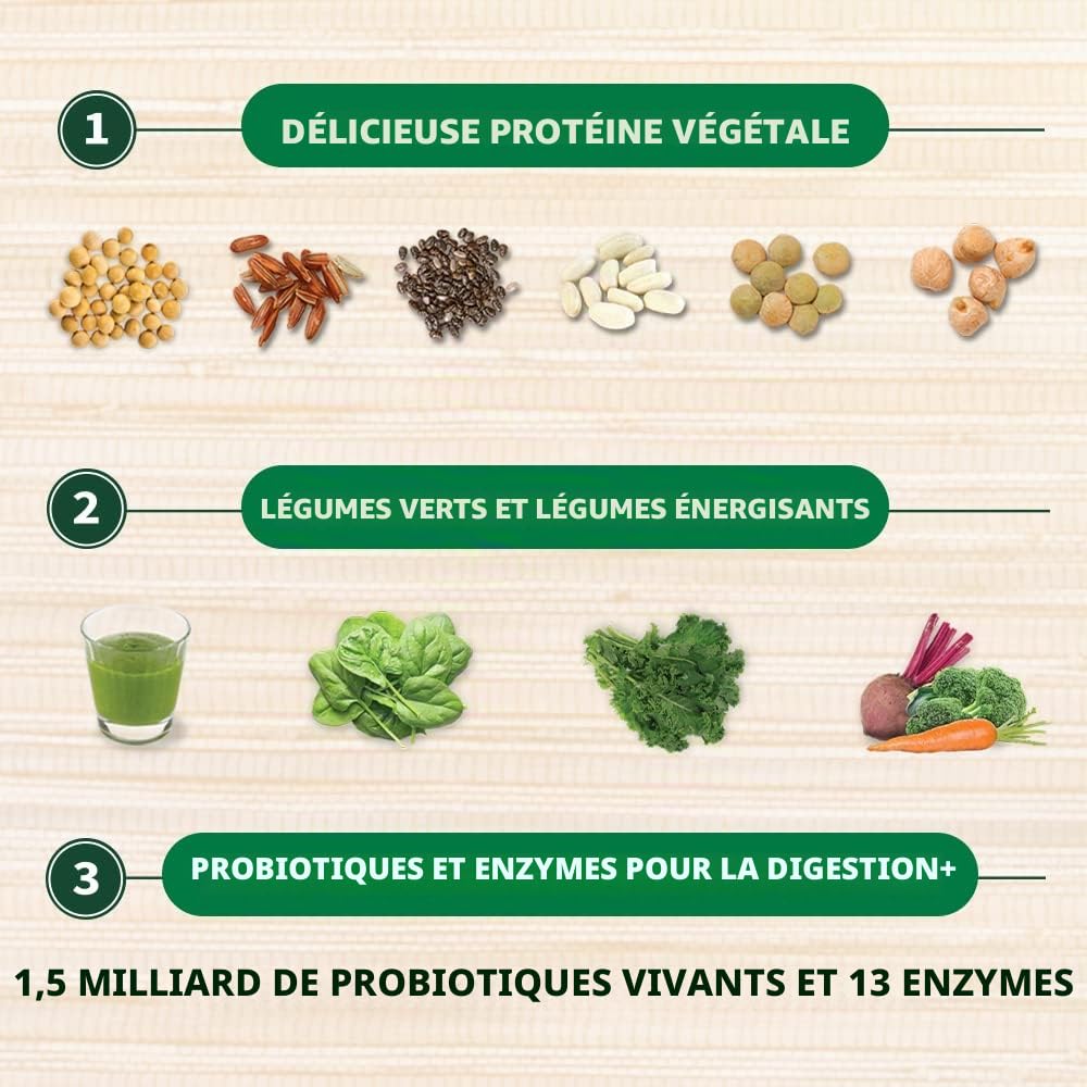 Garden of Life Poudre de Protéines Brutes/de Légumes Verts Chocolat