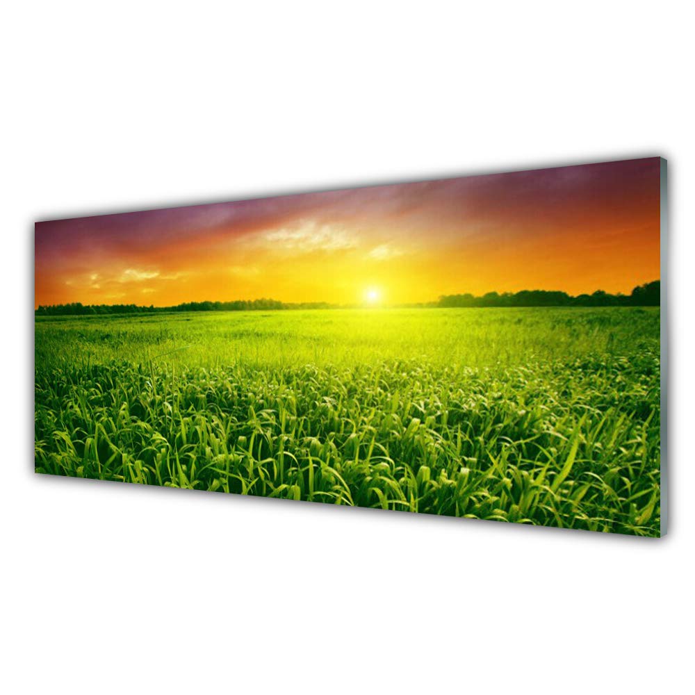 Impression sur verre trempé 125x50cm Tulup pour illuminer votre décoration de salon