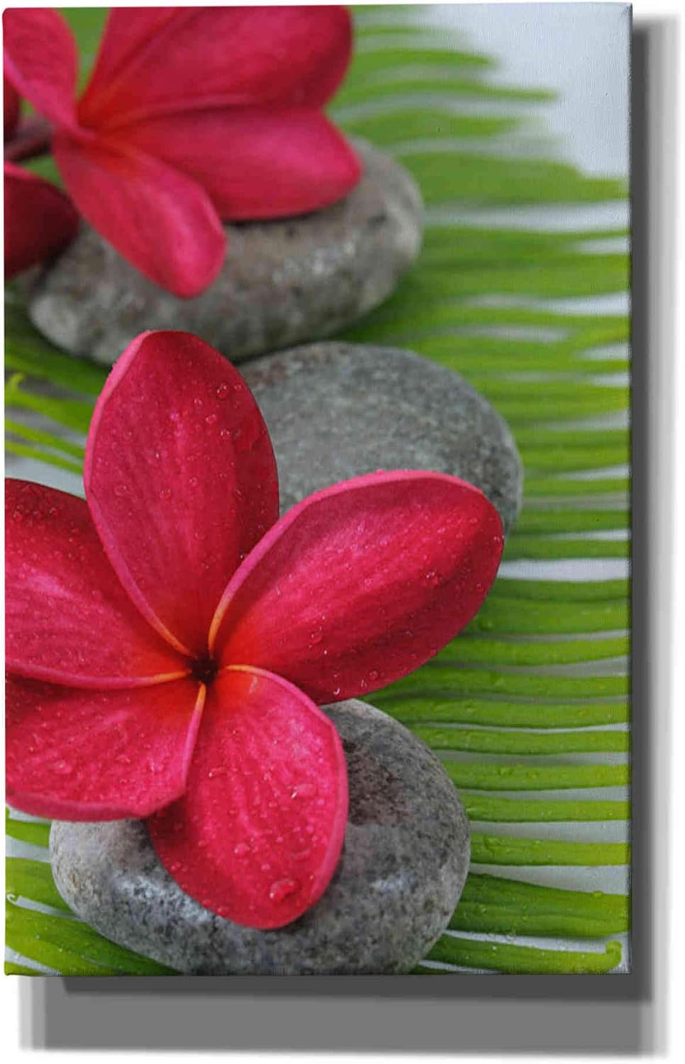 Epic Graffiti 'Wabi Sabi II' Canvas Wall Art, 12"x18"