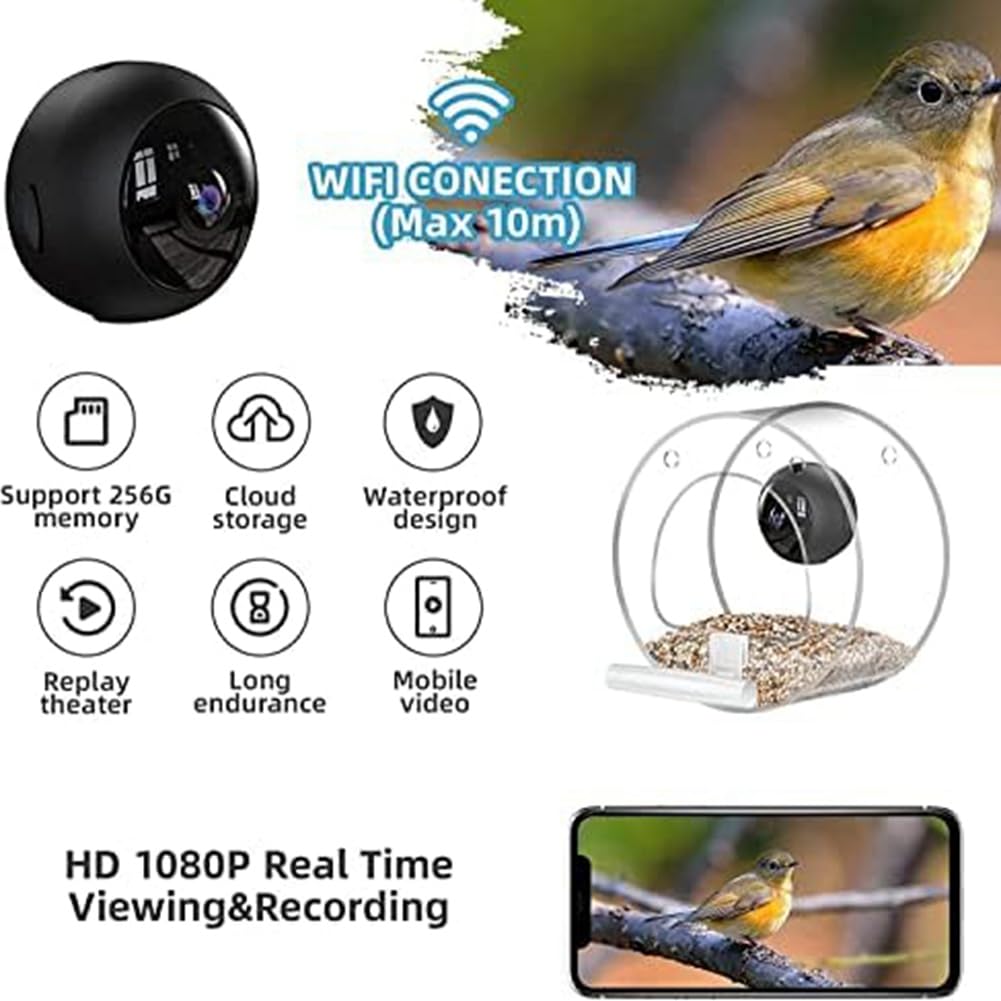 Comedero para pájaros de plástico con cámara de observación de pájaros, conexión remota para teléfono móvil para observación de