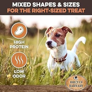 Brutus  Barnaby Bully Stick Bites  Grass Fed Low Odor Bully Stick Bites All Pure and Grain Free 1lb  Cucciolini Doodles Brutus  barnaby bully stick bites  grass fed low odor bully stick bites  all pure and grain free 1lb   cucciolini doodles