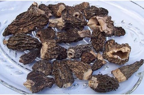 Amazon.com: Dried Morel Mushrooms 4 oz : Grocery & Gourmet Food