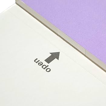 木版画『ゼルダムSR2000』 ED 5/100 コットン水彩紙 木版画『ゼルダムSR2000』 ED 5/100 コットン水彩紙 Amazon.co