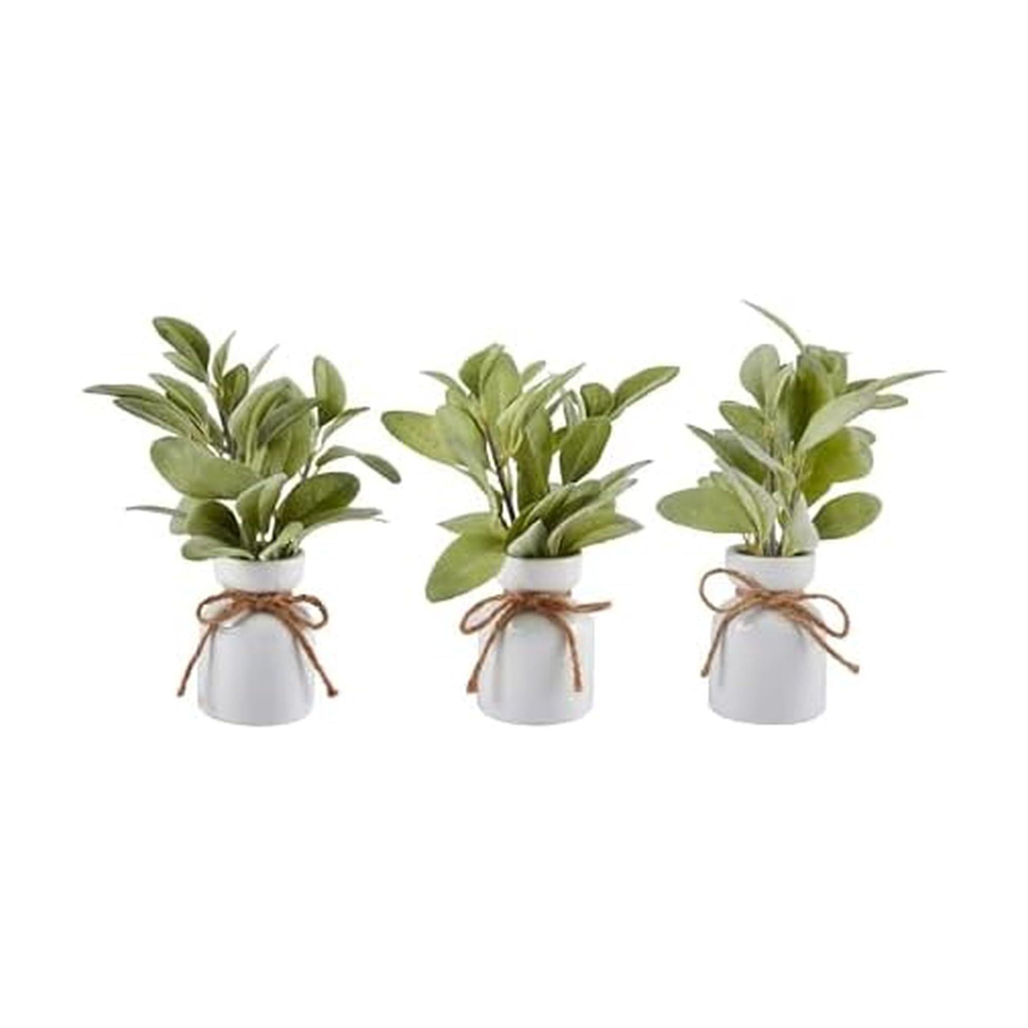Elements Mini Potted Lambs Ear Set