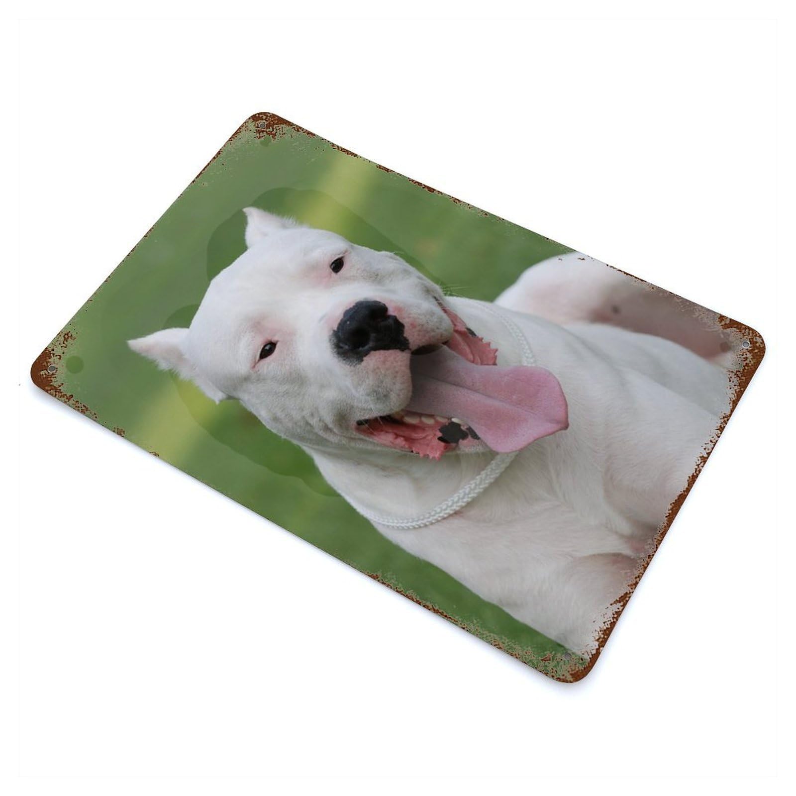 Dogo Argentino Aged Metal Wall Plaque 11.8"x7.9", Industrial Home Decor for Pub, Kitchen And Man Cave Decor