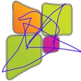 The Developer