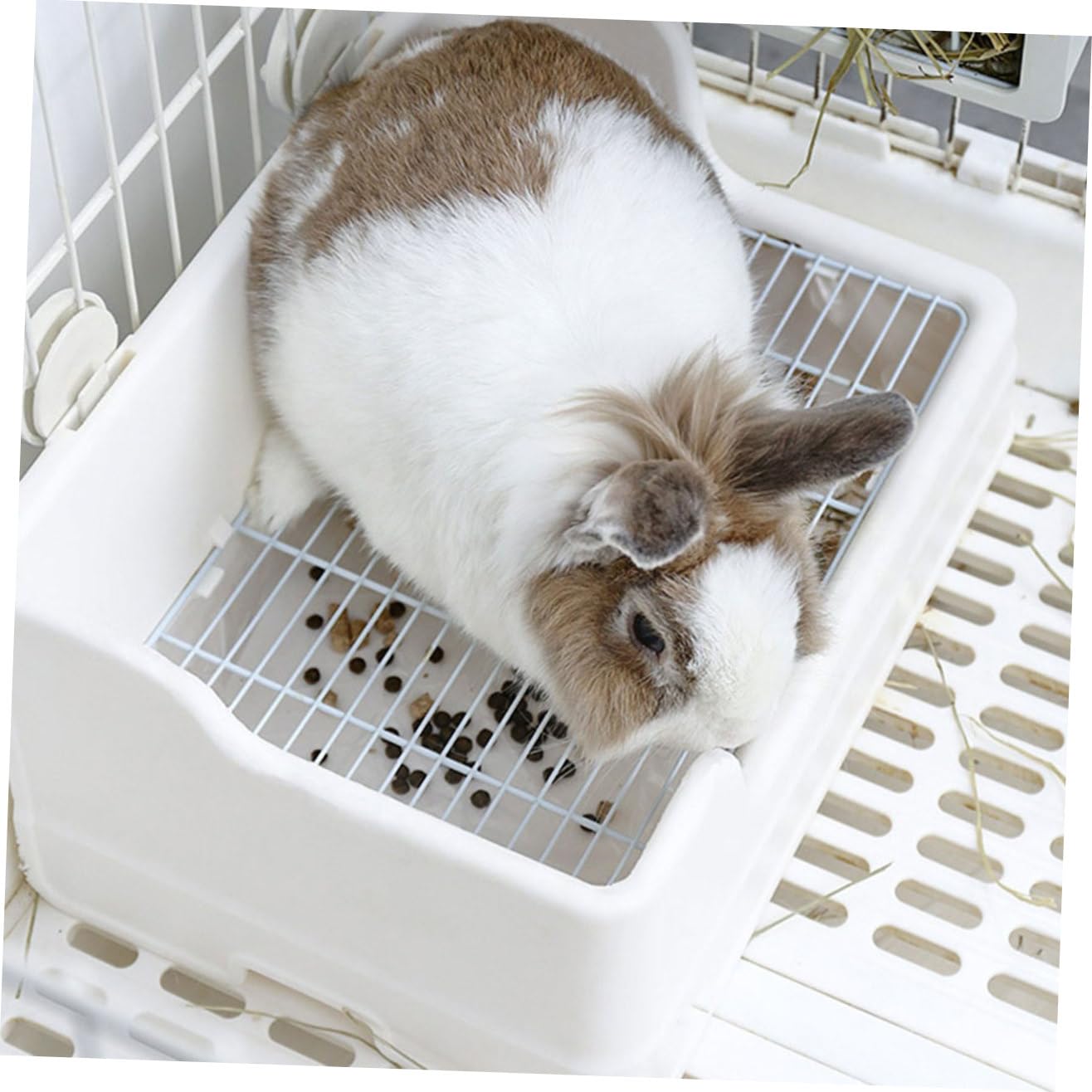 TOYANDONA Toilette per Conigli in Plastica Riutilizzabile Rete Arrotondata Antiscivolo, Vasino per Addestramento Animali Piccoli per Soggiorno e Giardino, Lettiera per Coniglietti e Criceti