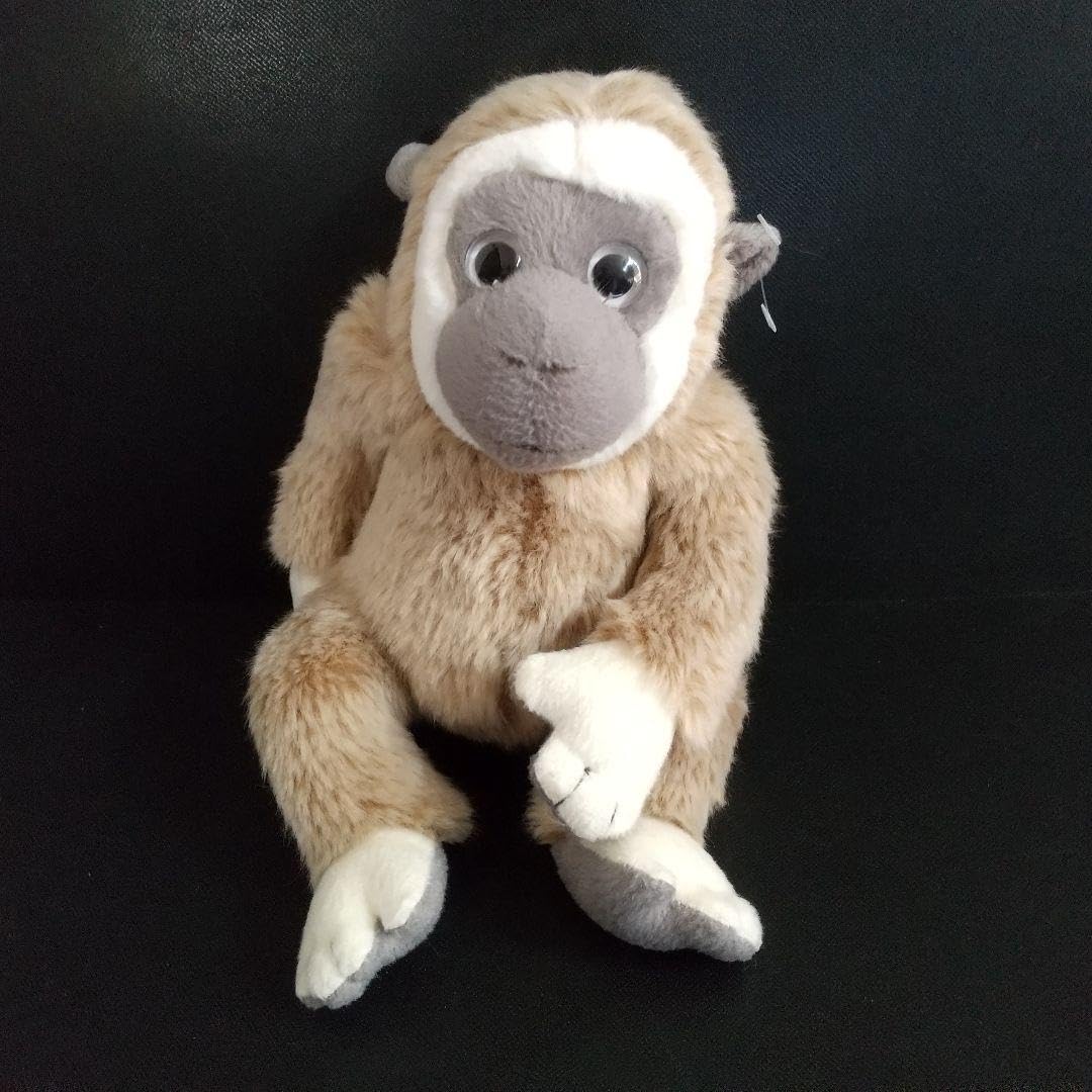 Amazon.co.jp: サル 猿 猿ぬいぐるみ 伊豆シャボテン動物園 : おもちゃ