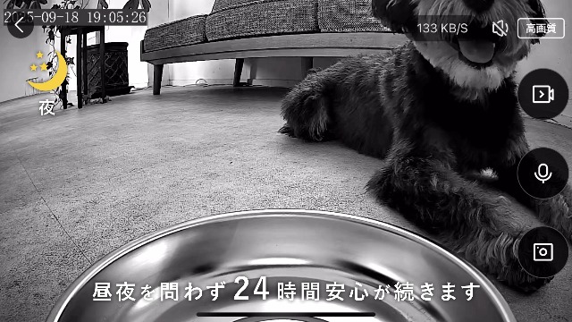 Amazon | エレコム 自動給餌器 カメラ付き 4L (約2.2kg) スマホ連携