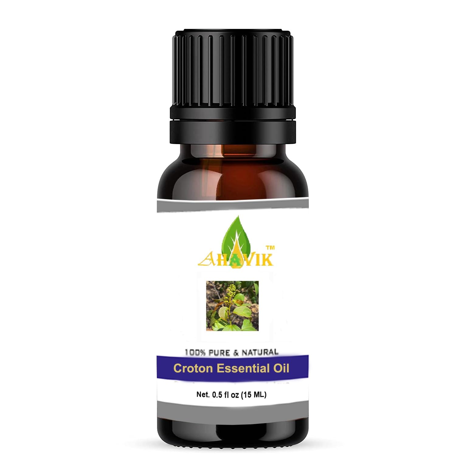 Croton Natural Essential Oil (Codiaeum Variegatum) Nepala Seeds - Jamalgotha Oil 15ML For Hair Growth | Skin Care | Body Pain | Massage