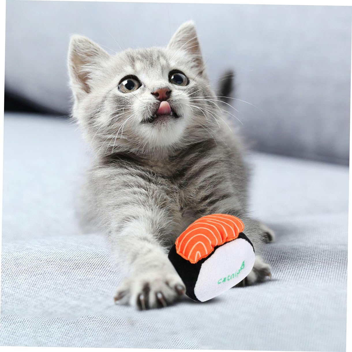 Yardwe 9pièces Jouets Peluche Catnip pour Chat Jouets à Mordre Squeaky Et Molar pour Kittens De Sushi Coquille Crevettes