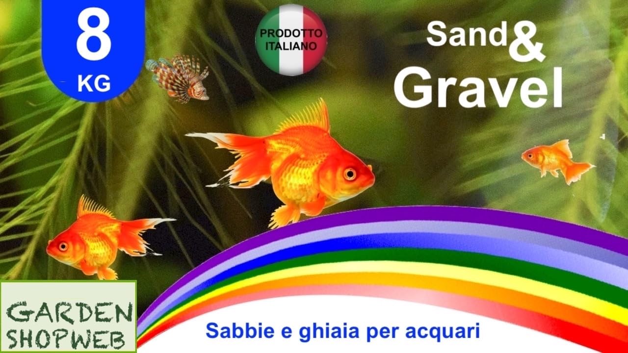SABBIA O GHIAIA QUARZO BIANCO 4KG o 8KG PER ACQUARIO IN SECCHIELLO RIGIDO RICHIUDIBILE (8 KG, BIANCA FINISSIMA)