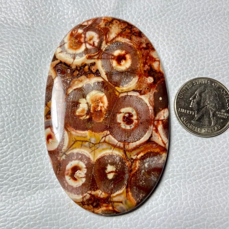 Cabochon jaspe œil d'oiseau 77x48mm ovale pour création pendentif - 2