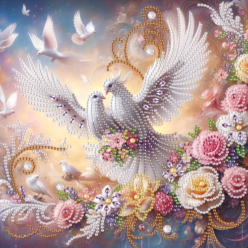 Image of AiYuanzsh Diamond Art Painting Kits for Adults, 5D Special Shape Diamond Art Kits for Beginners, Crystal Rhinestones Diamond Painting for Home Wall Decoration Gift 12x12 inch, Happy White Dove