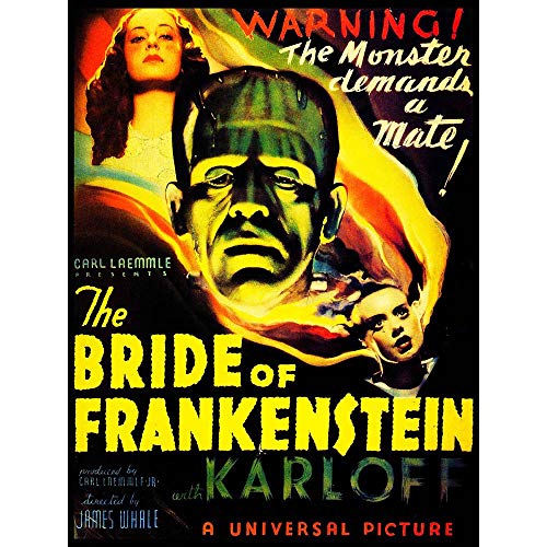 Wee Blue Coo Prints Movie Film Bride Frankenstein Boris Karloff Monster Horror Whale USA 30x40 cms Art AFICHE Cartel Imprimir Poster Print Picture CC6382