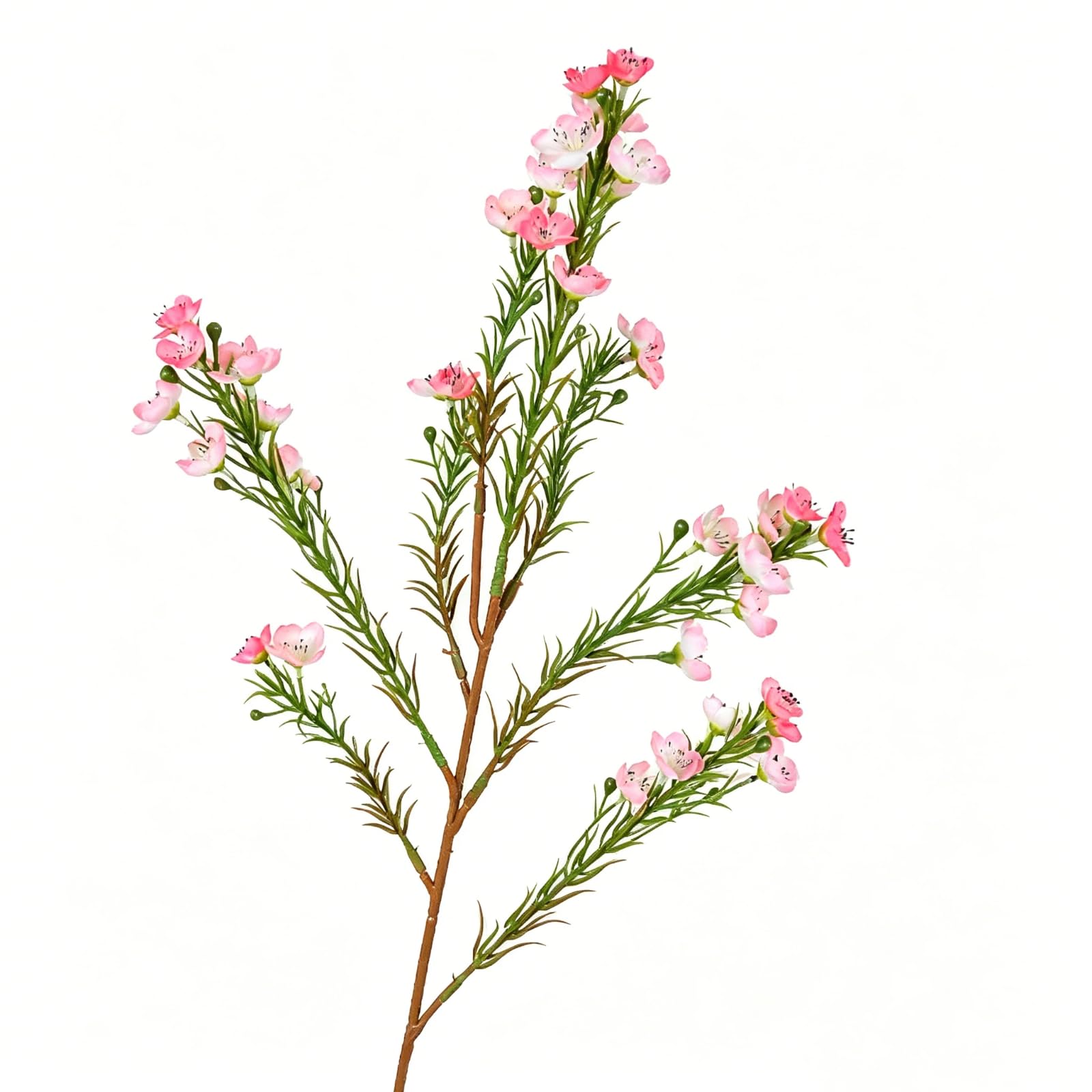 Ehuagzcoo Artificial Australian Wintersweet Flowers for Home Decoration and Wedding Silk Flower Arrangement