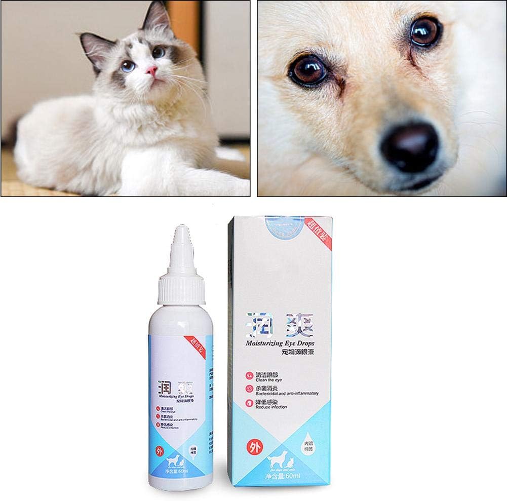 免除 土砂降り 引き出し 犬 猫 の 目薬 Sr T Jp 免除 土砂降り 引き出し 犬 猫 の 目薬 Sr T Jp