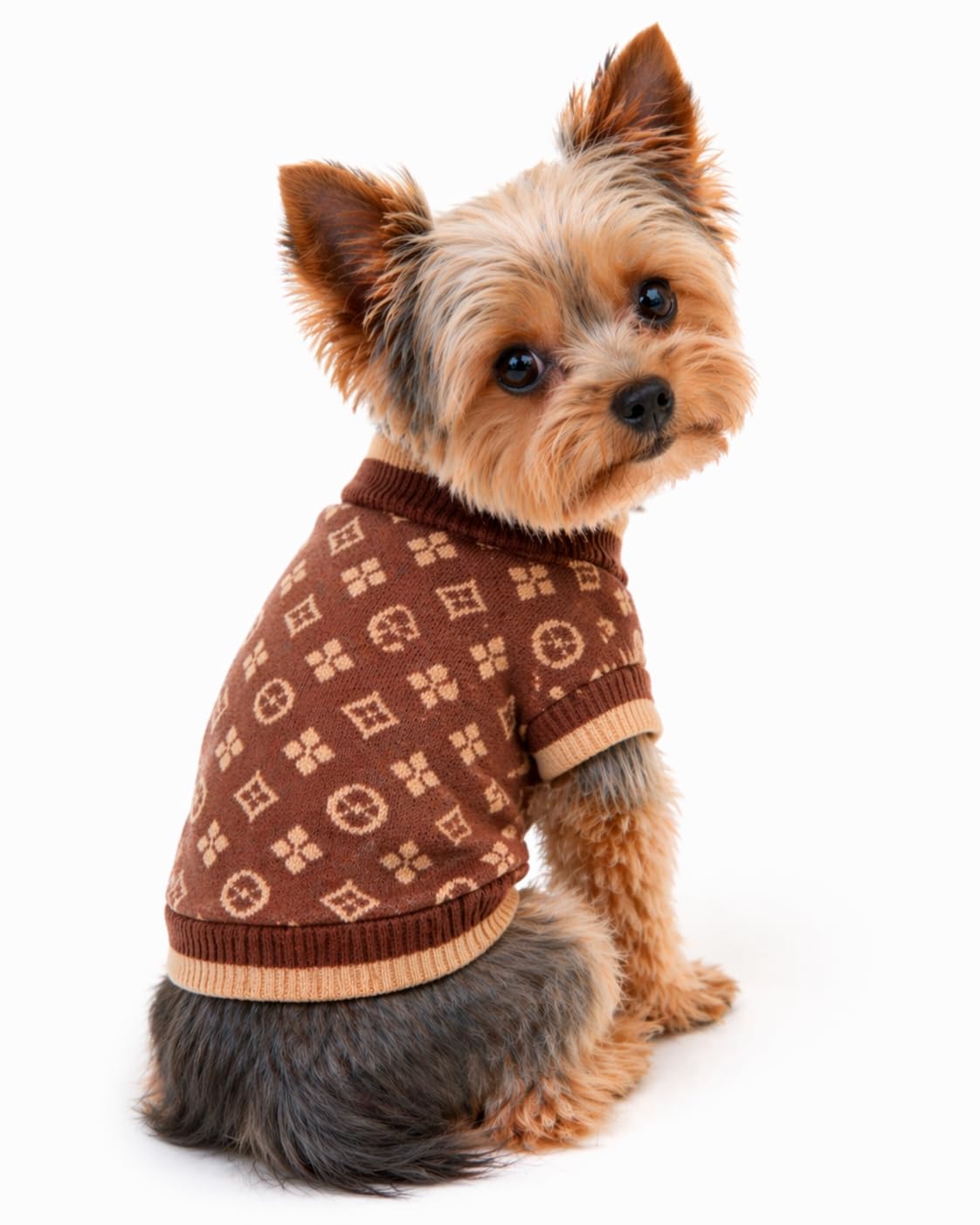 Everything Chic Ropa de lujo para perros, suéter de piel para bebé, sudadera con capucha de moda para perros pequeños, cachorros, bulldog francés, salchicha, chihuahua, gatos, maltés, sudaderas con