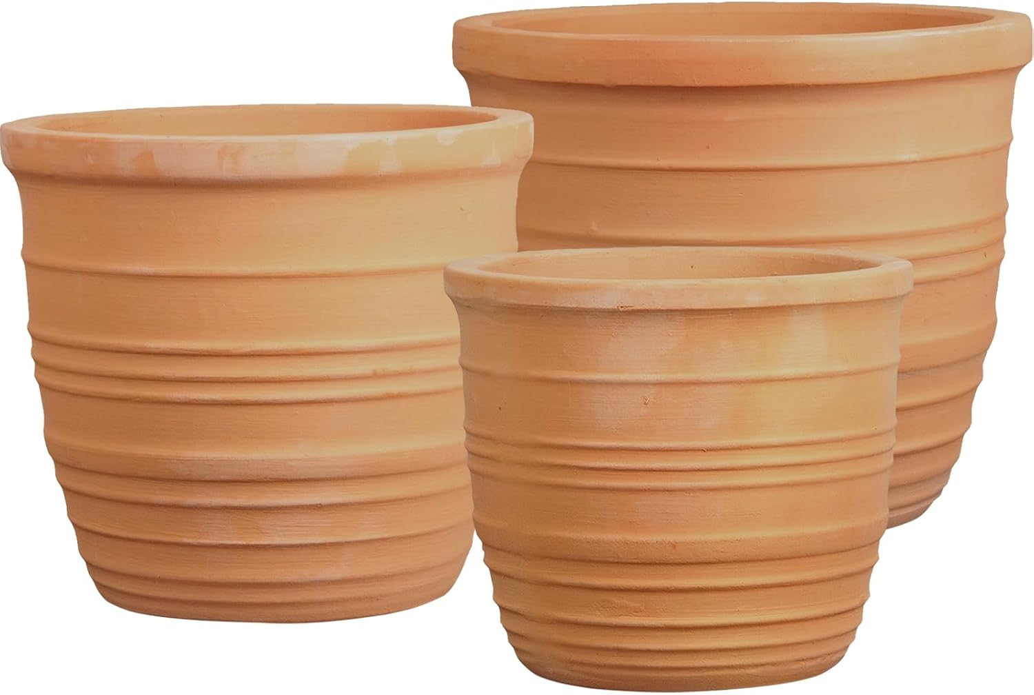 アガベ チタノタ 海王 ウッドプランター (ハードウッド製) セット① アガベ チタノタ 海王 ウッドプランター (ハードウッド製) セット①