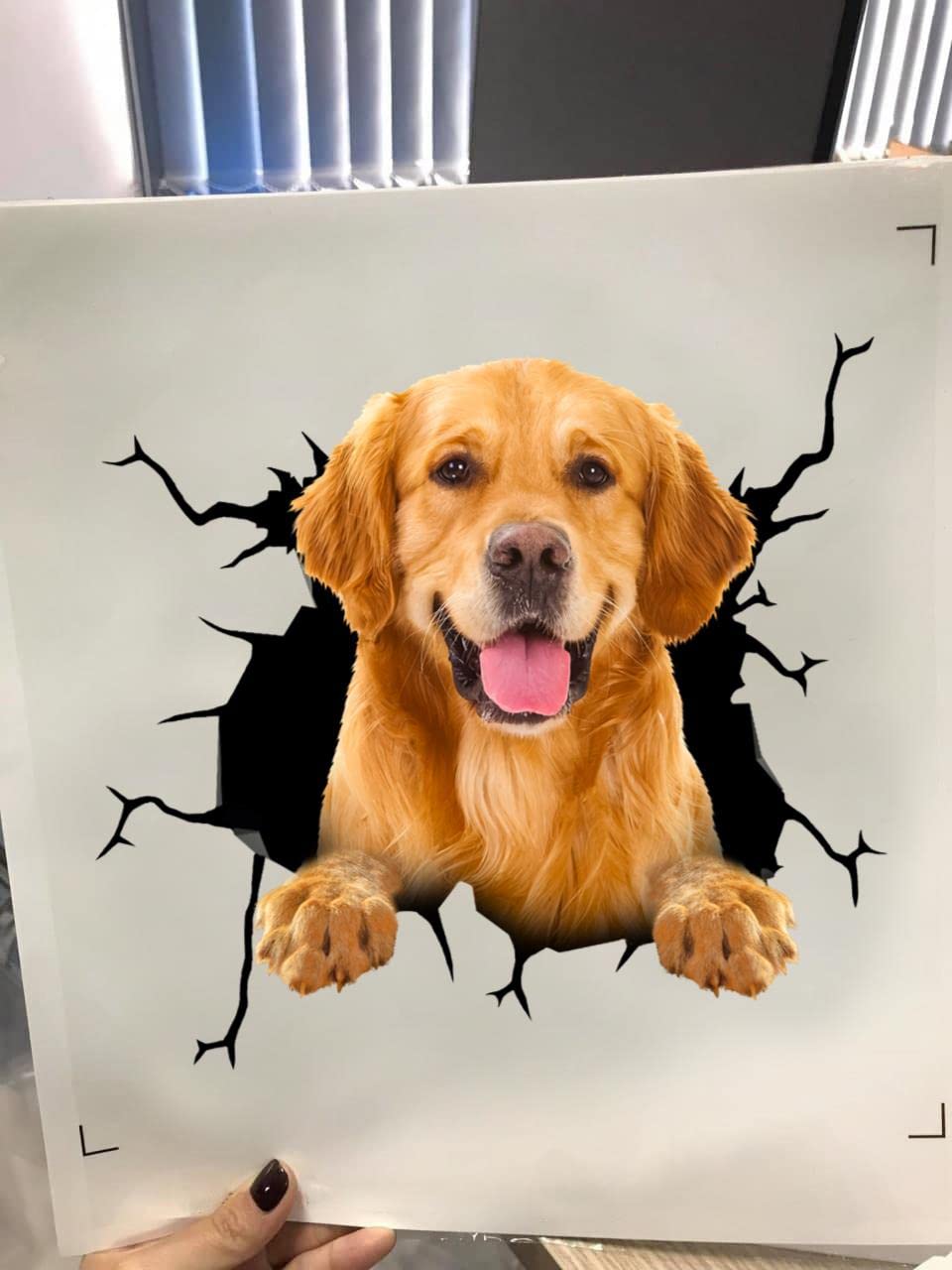 Amazon.co.jp: Camellia Print ゴールデンレトリバーステッカー 車用