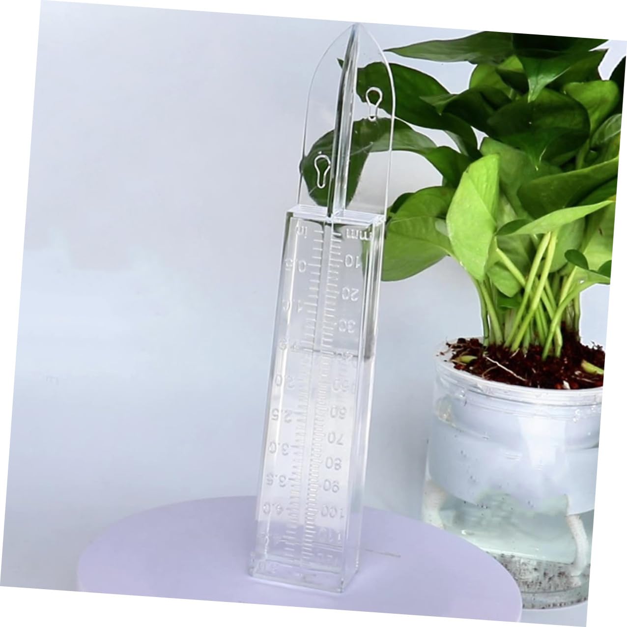 jojofuny Pluviometro da Giardino 6 Pezzi in Plastica Ps Misurazione Precisa della Pioggia Resistente alle Intemperie Design Elegante per Giardinaggio Esterno