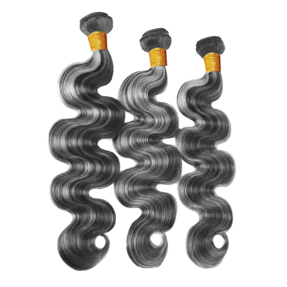 Highlight Bundle P1Bgray Body Wave Human Hair Bundle Fridnae Hair Two Tone Salt And Pepper 3 Bundles 22 24 26 Inch 8A Grade #1Bgrey Ombre Body Wave Bundles