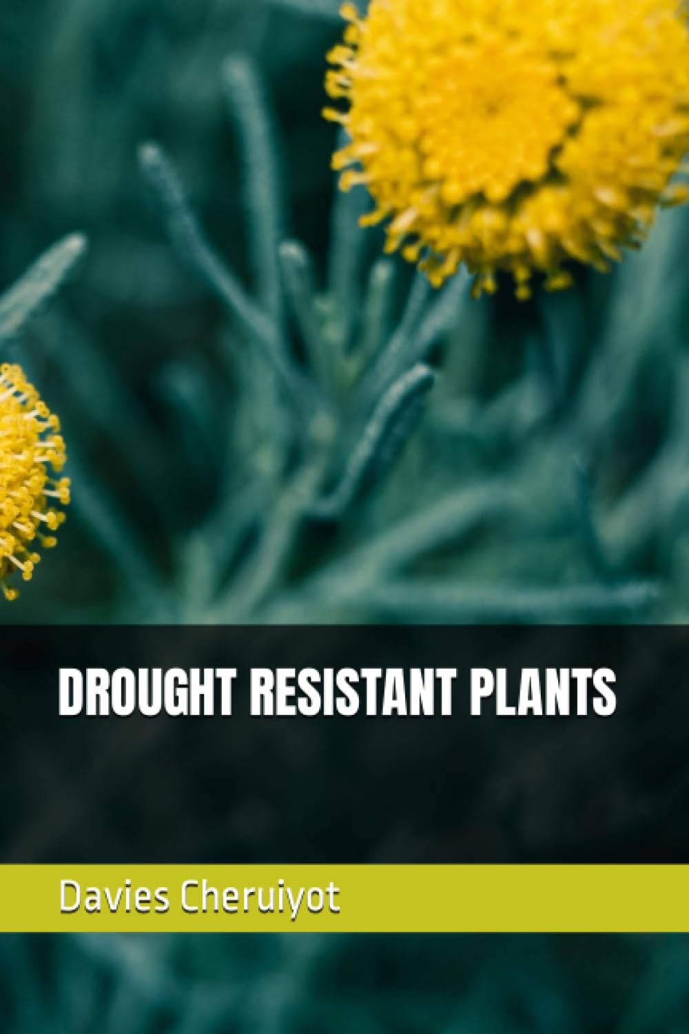 DROUGHT RESISTANT PLANTS (Tropical Trees)