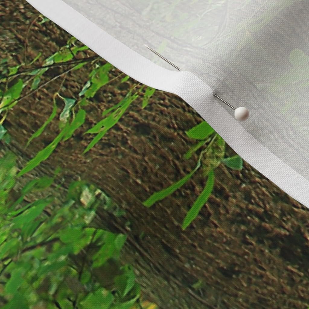 Spoonflower Fabric - Forest Trees Grove Wood Birch Green Emerald Woodland Printed on Petal Signature Cotton Fabric by The Yard - Sewing Quilting Apparel Crafts Decor