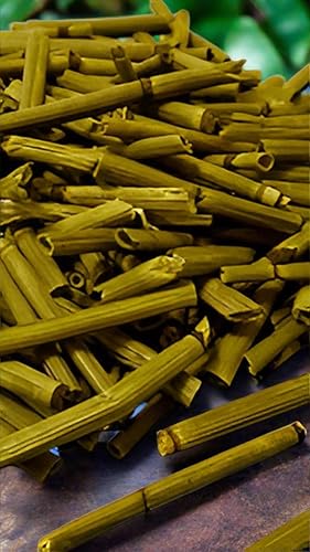 Miniatura 2 de HealinGifts Cola de Caballo Té de hierbas Shavegrass de cola de caballo, 0.5 onzas en bolsa Kraft resellable