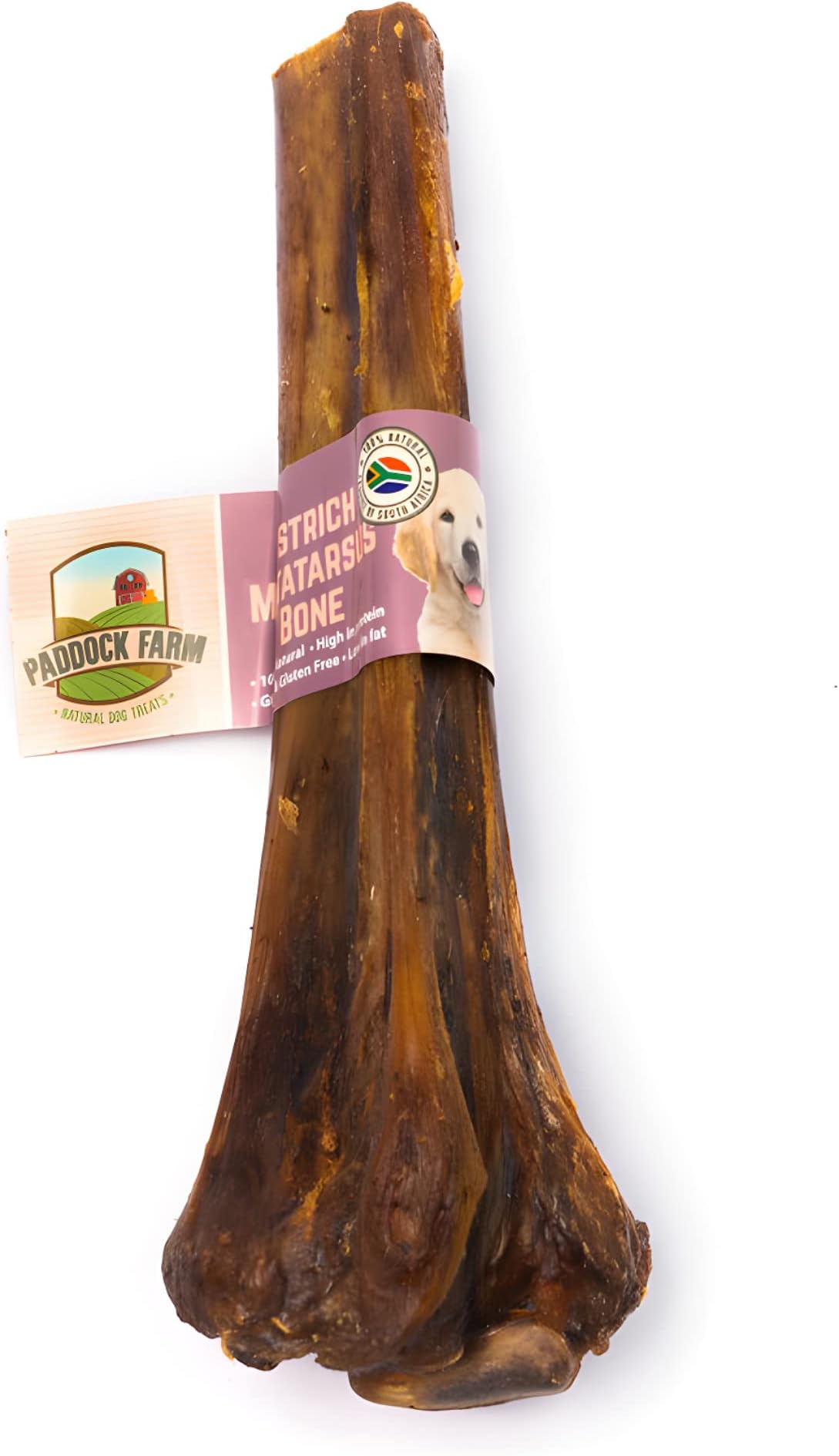 Paddock Farm Ostrich Dino Bone For Dogs Amazon.co.uk Pet Supplies