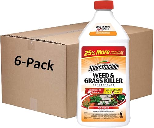 Spectracide HG- Concentrado para matar hierba y malas hierbas , Paquete de 6, NA