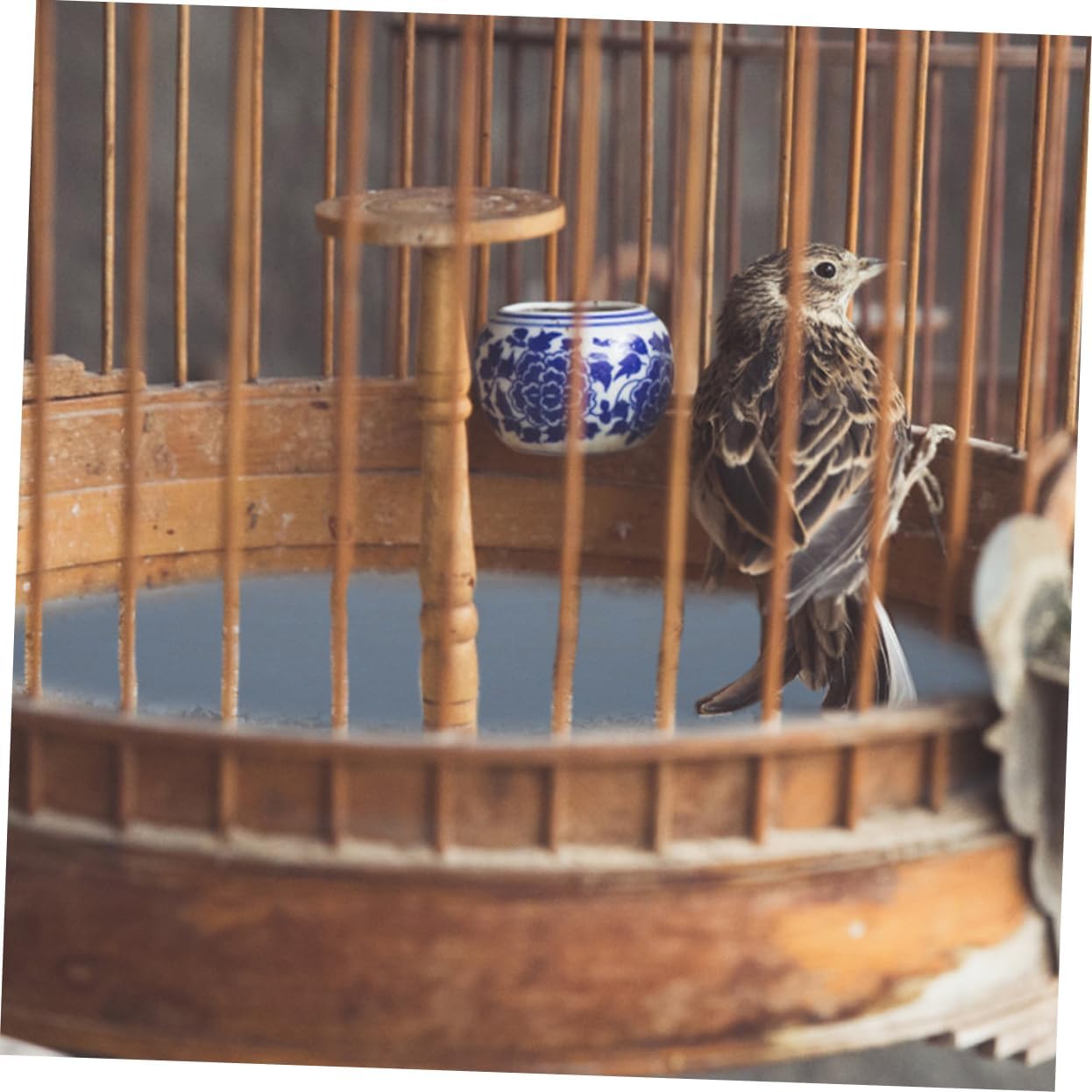 Milisten 5pcs Bird Cage Sandpaper Sheets for Trimming Replacement Liners for Parrot Cages Easy Replace Mats Random Patterns