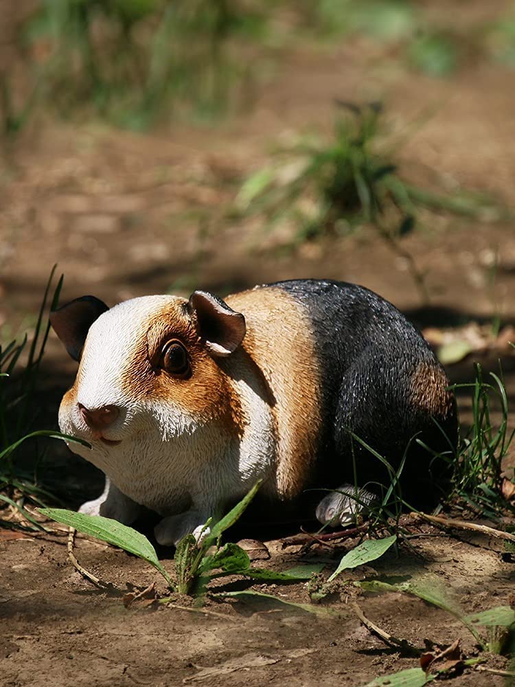 Zxhstore Multi-Colored Simulation Guinea Pig Sculpture Garden Decoration Outdoor Resin Guinea Pig Statue Ornaments 3.9" High