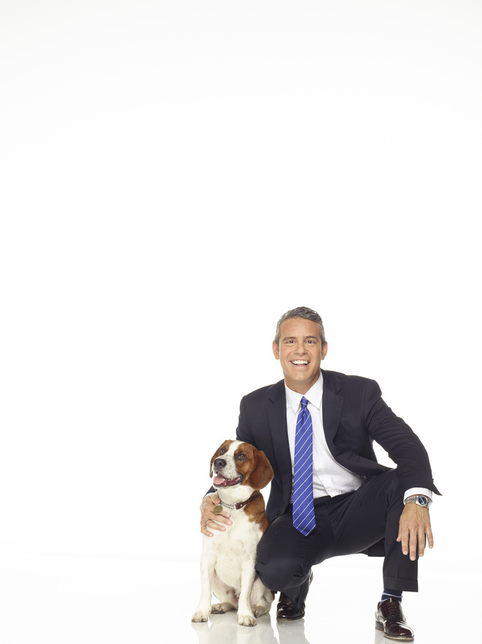 Andy Cohen books, biography, latest update
