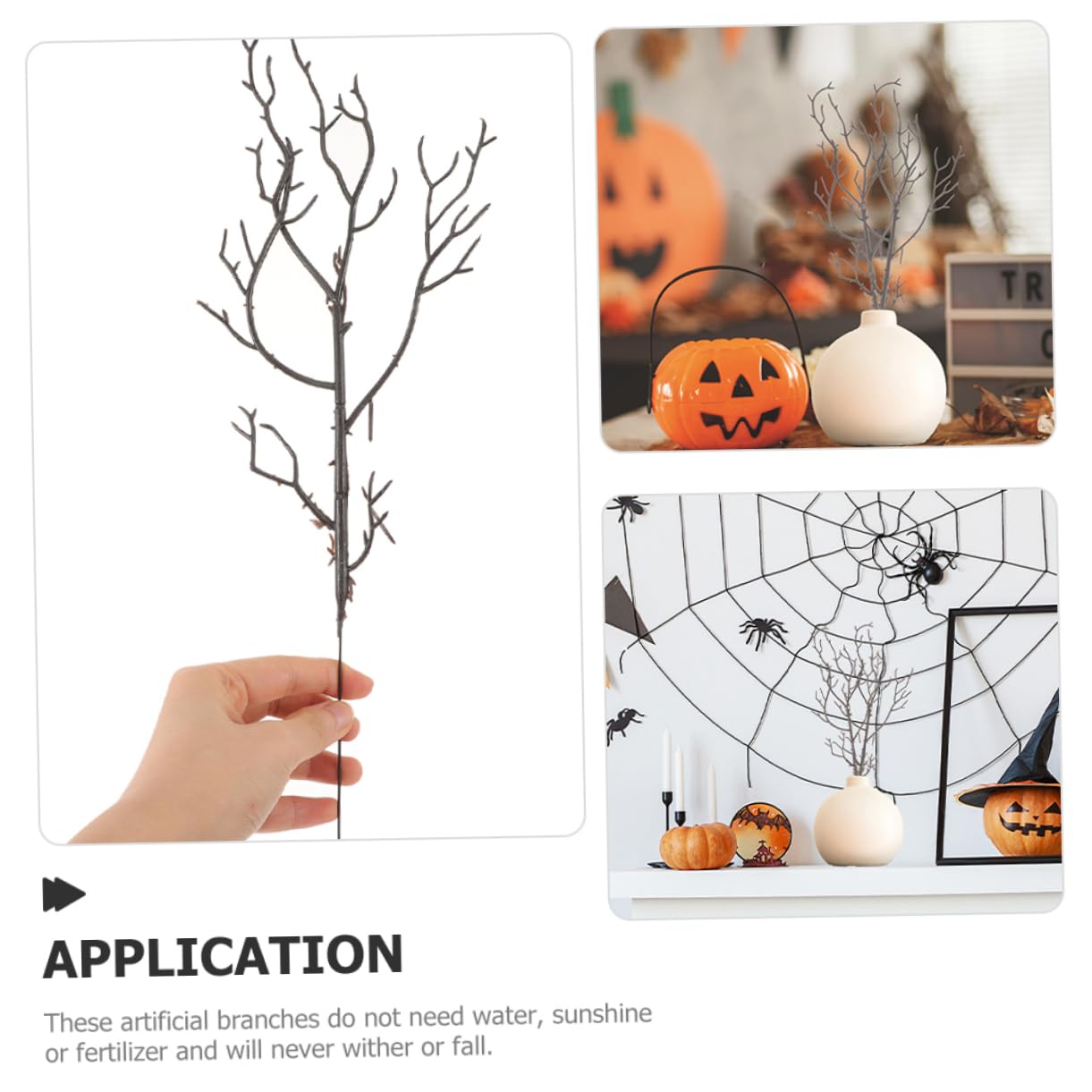 Cadres De Noël Avec Branches Sèches : Création D'une Décoration Naturelle Et Élégante