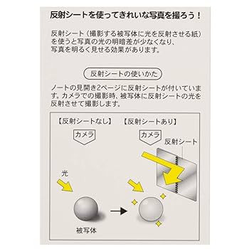 Amazon.co.jp: ディズニー キラキラ シルバー パークフード柄