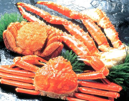 O傪ɃZbg ({CΊIZbV {CтɎp {CYCKjp)