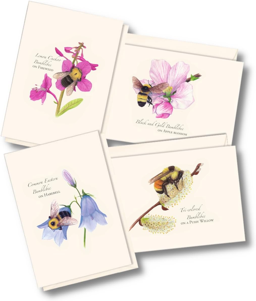 Earth Sky + Water - Spring Bee Assortment Notecard Set - 8 Blank Cards with Envelopes (2 each of 4 styles)