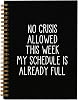 hold fizz Funny Gag Office Gifts Notebook Journal, Sarcastic Funny Gifts for Women Men Coworker Employee Boss Adults, No Crisis Allowed This Week, Journals for Writing(5.5'' X 8.3'')