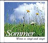 Meditation vertiefen Sommer: Wenn es singt und zirpt