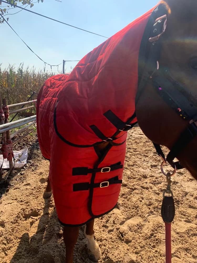 Manta de Invierno Heavy para Caballo Manta de Caballo de Invierno Suave Cómoda, Ideal para la Cuadra, Manta para Todo el año para Exteriores Equipo Ecuestre(Size:145-160CM)
