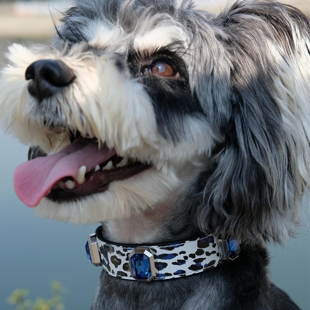 Luxury K9 Crystal Dog Collar -Waterproof Wear-Resistant Microfiber Leather with Hand-Set Rhinestone Gems, Durable Metal Buckle, Adjustable Bling Collar for Small Medium Large Dogs (Blue Leopard, M)