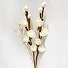 Product Photo 7
