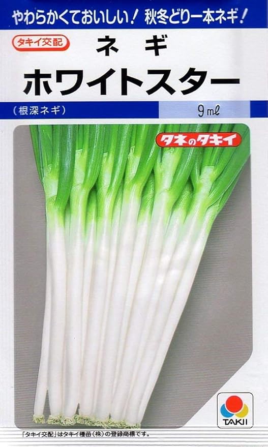 Amazon 種子 ネギ ホワイトスター 根深ネギ タキイ種苗のタネ 野菜