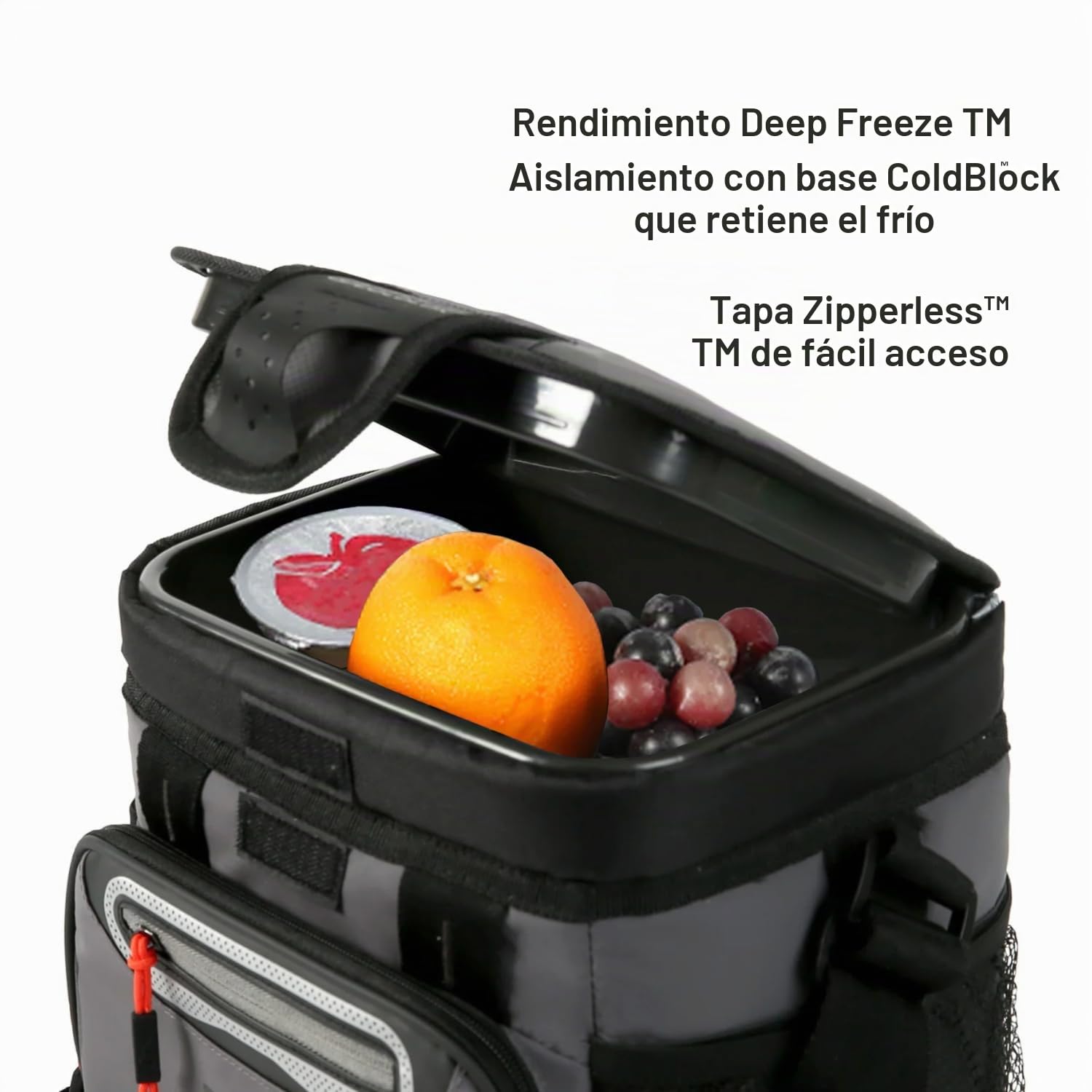 Arctic Zone Titan Nevera de congelación Profunda, Cuerpo rígido sin Cremallera, Capacidad Grande y pequeña, para Playa y Campamento, Aislamiento de congelación Profunda, Forro rígido HardBody y