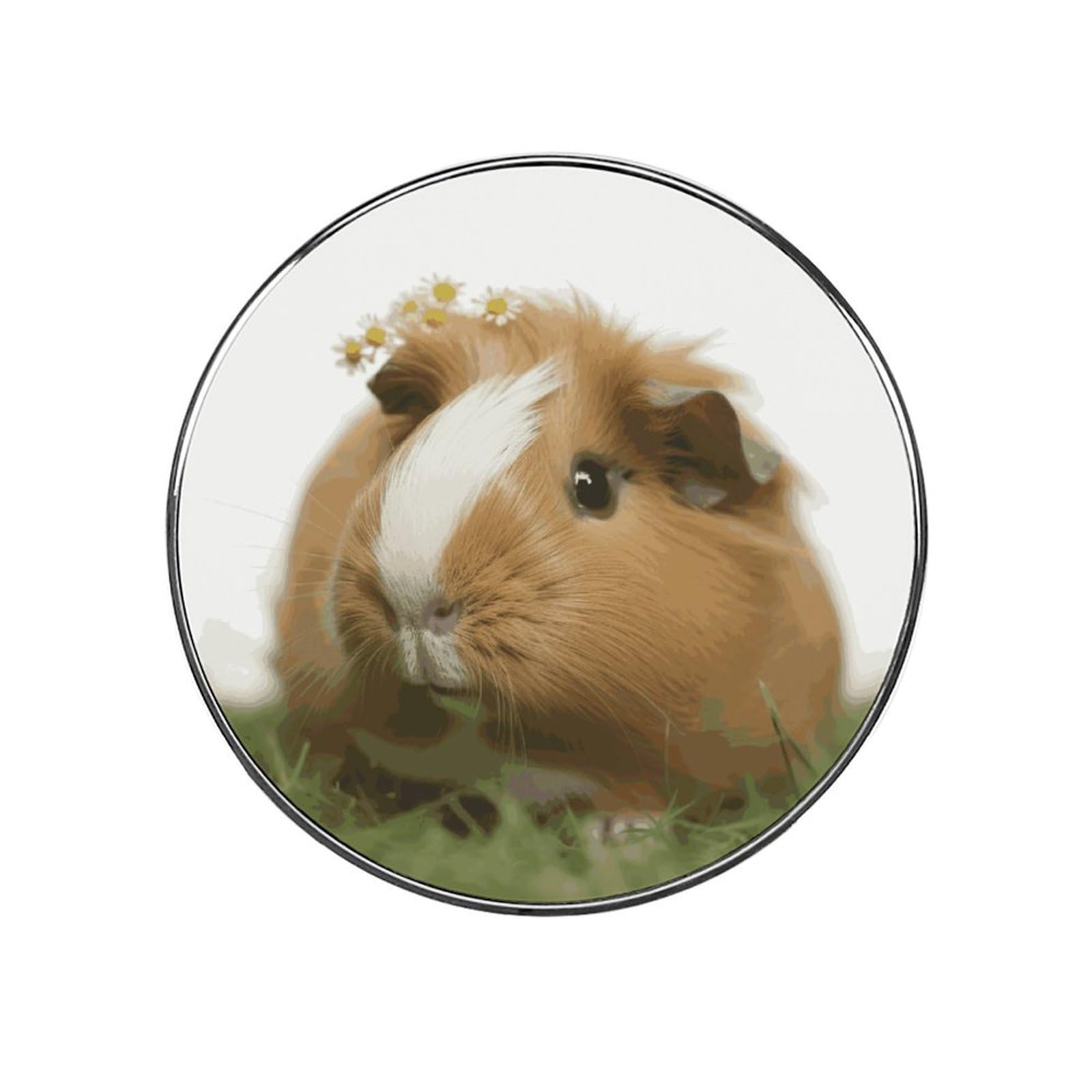 Adfgyerh Style Smiling (7) Refrigerator Magnets Circular Design，Stickers Home Decorations，Fridge Magnets For Fridge Plant Lovers Kitchen Office Locker Whiteboard Car Garage Decor.