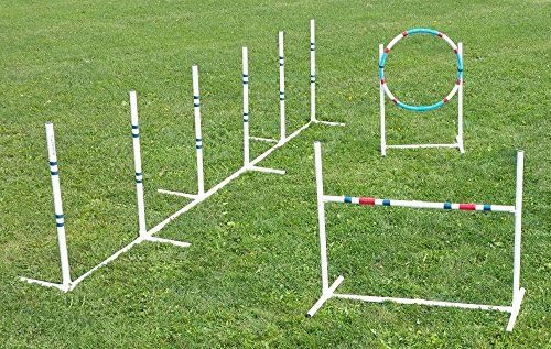 Affordable Agility Dog Agility Essentials Set